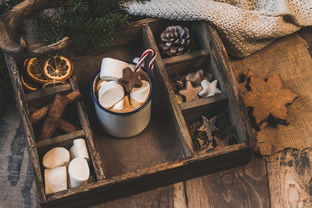 开云体育保障-NBA赛季助攻王表现动态，nba本赛季助攻王